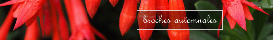 Séries limitées Broches - Emmanuelle Caille *Effet de tête - Chapeau sur mesure Paris Séries limitées Broches - Emmanuelle Caille *Effet de tête - Chapeau sur mesure Paris