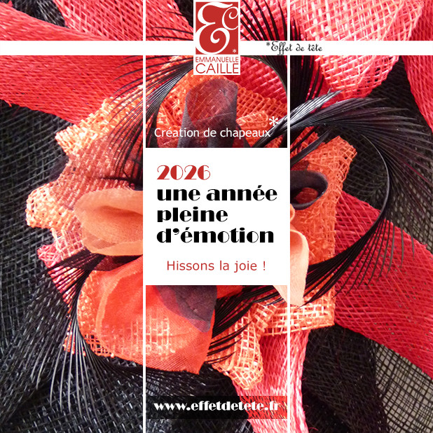 visuel MEILLEURS VOEUX